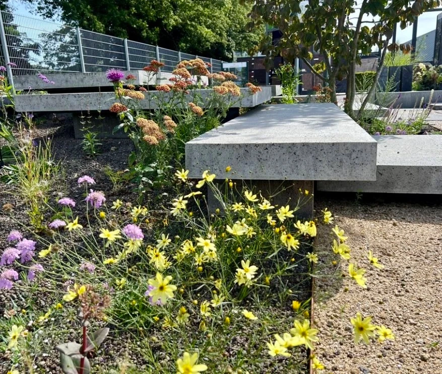 showtuin zomer groen showtuin zomer groen