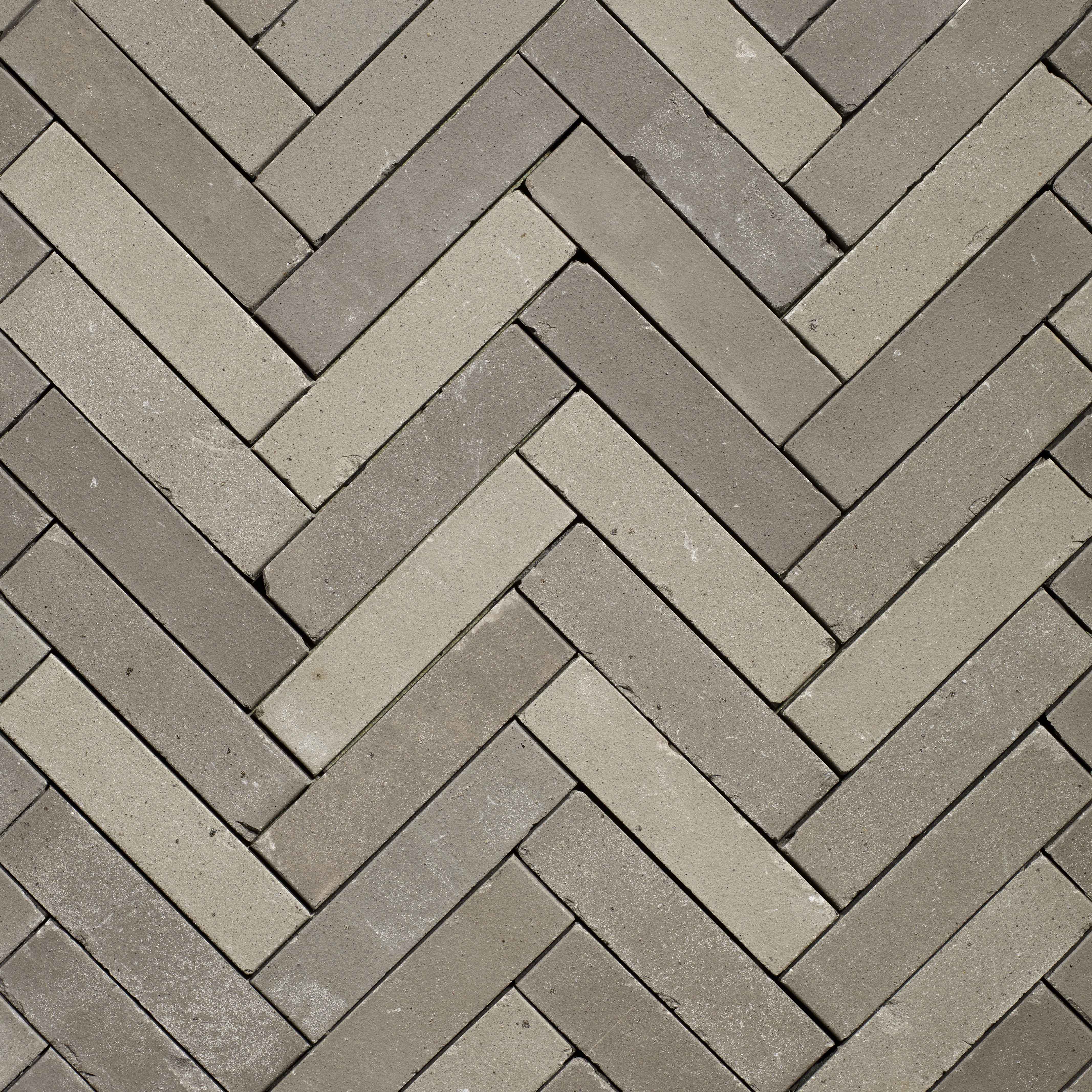 Gebakken waalformaat Lotis Getrommeld